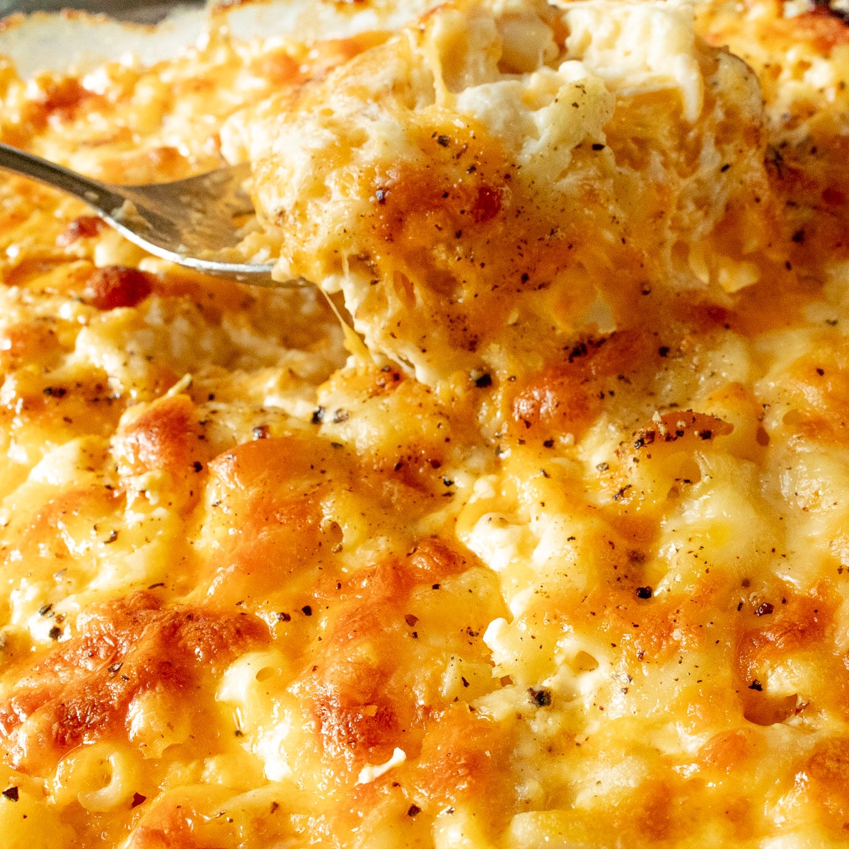 Mac N' Cheese (5 Cheese) (Baked)