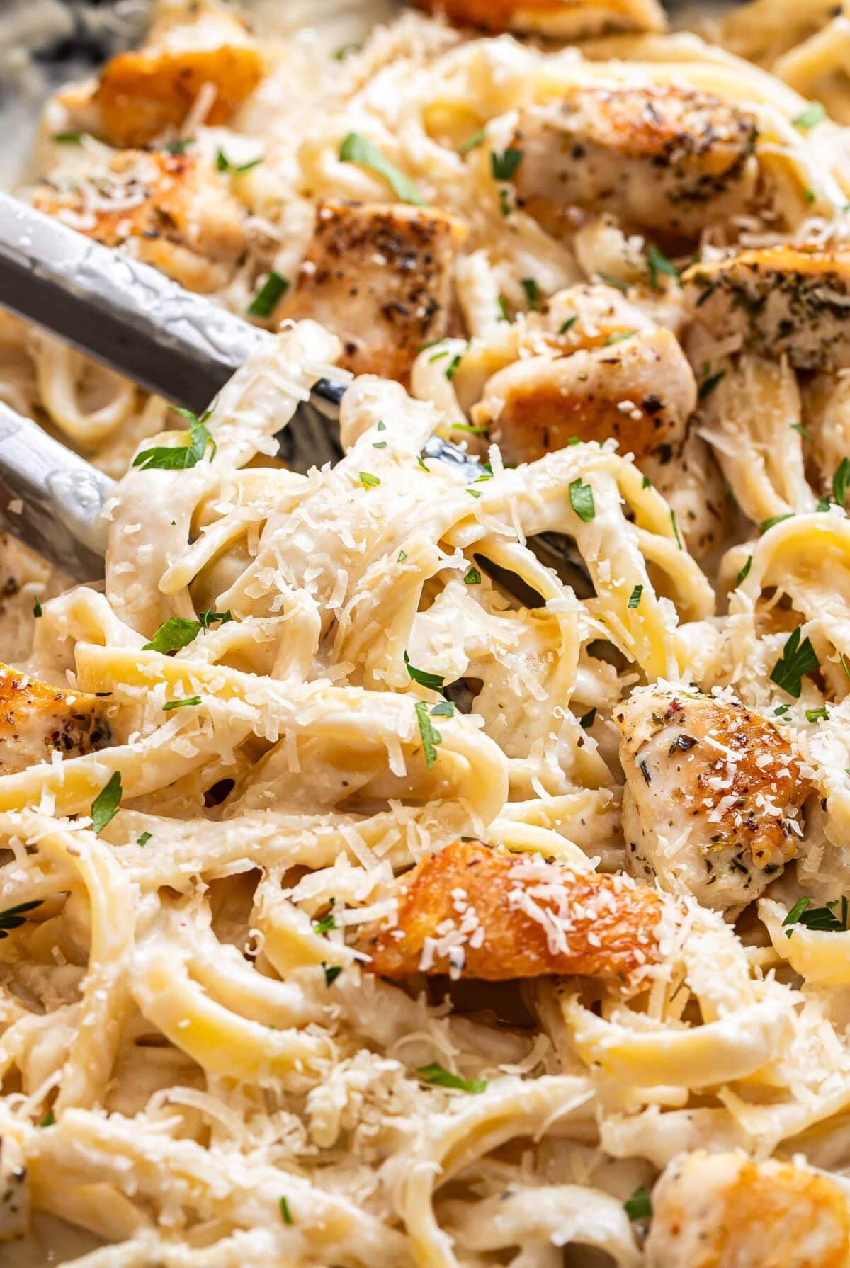 Fettuccine Alfredo