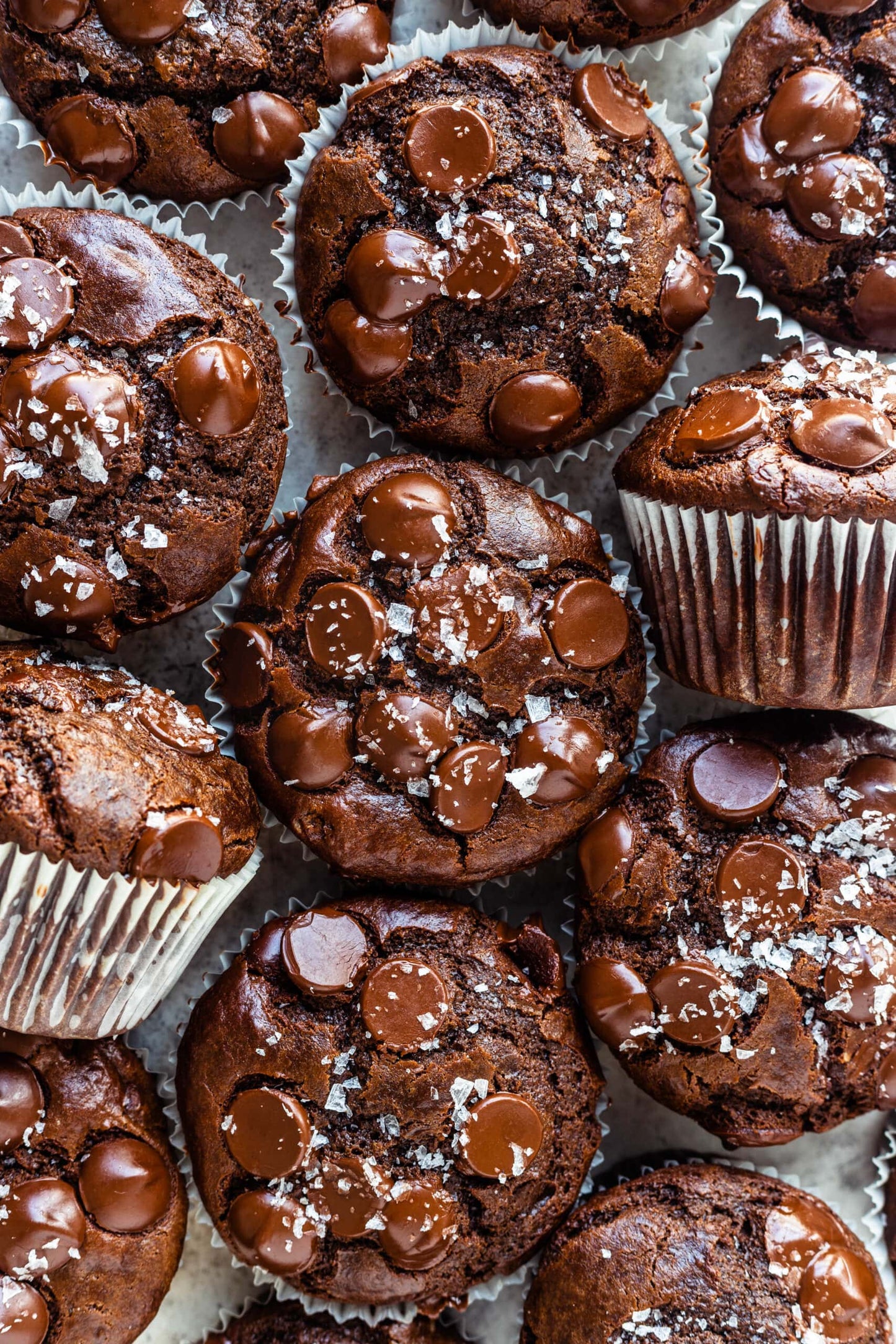 Double Chocolate Muffins