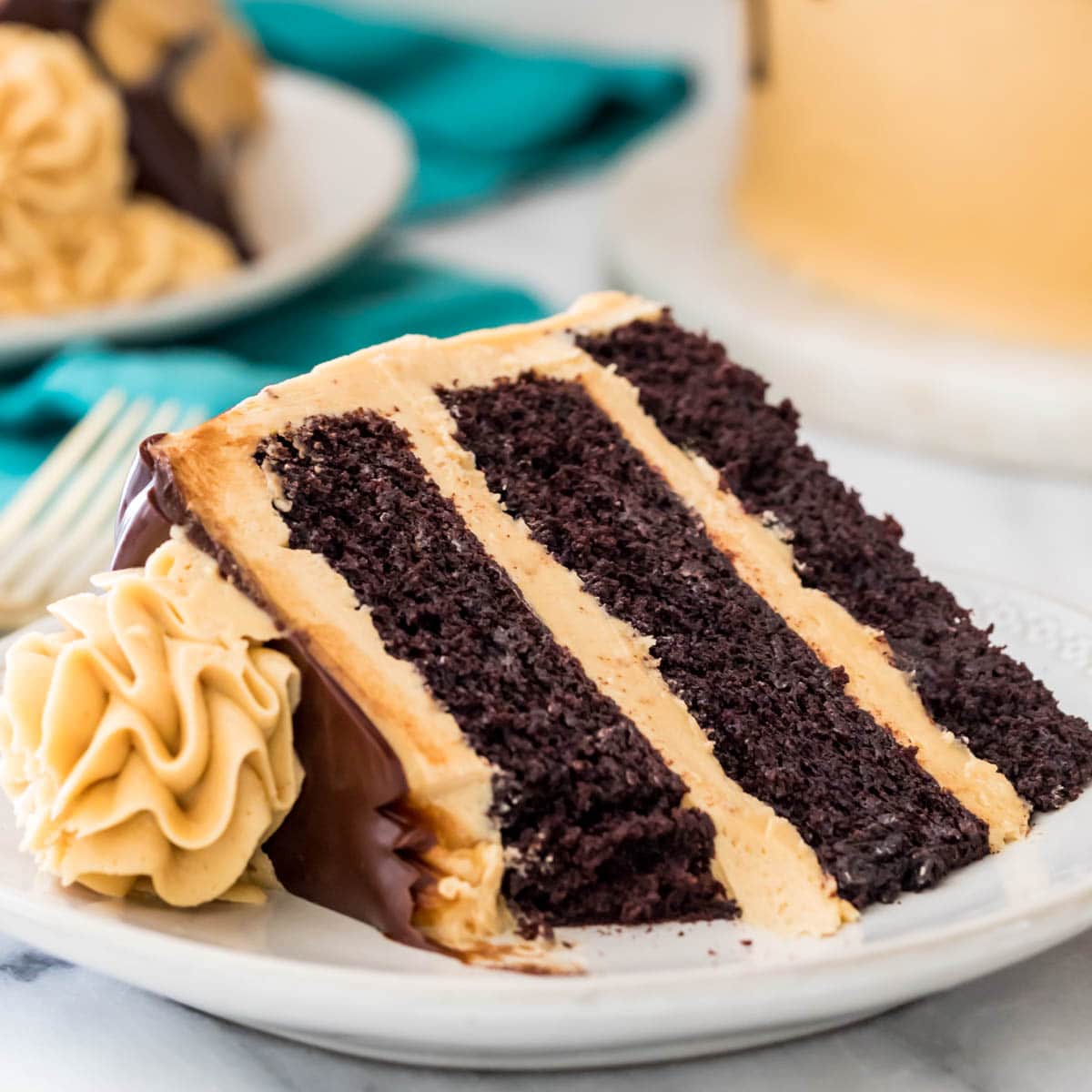 Peanut Butter Chocolate Cake