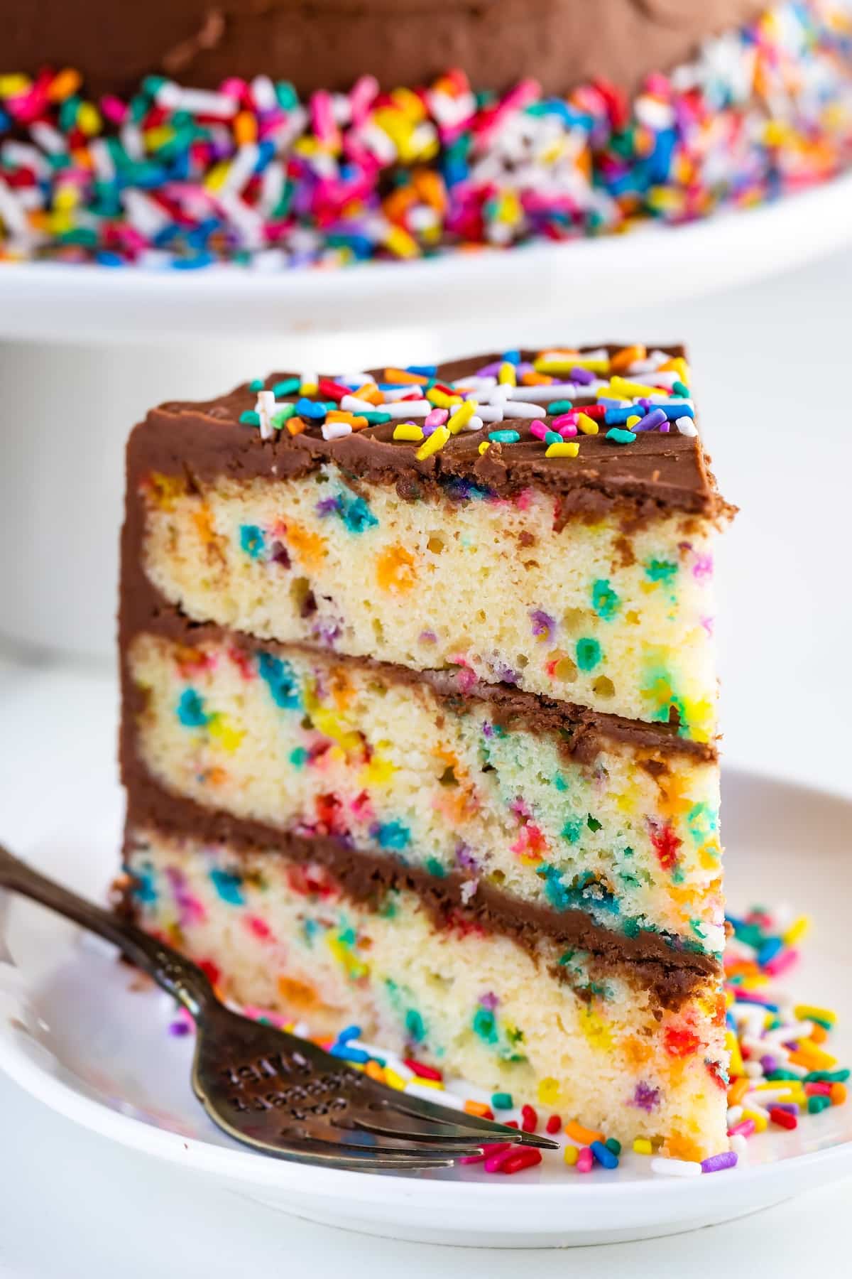 Vanilla Confetti Cake W/ Chocolate Frosting (Catering Size)