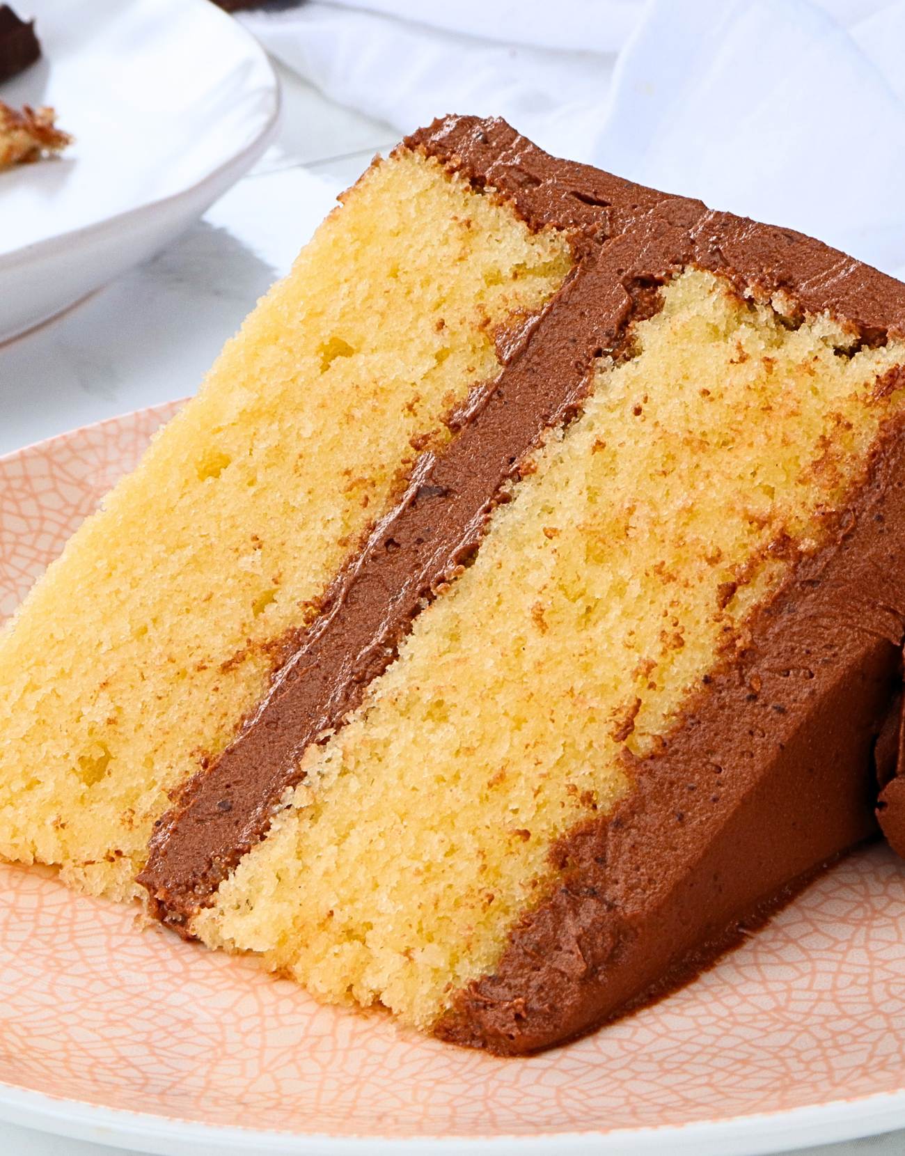 Yellow Cake W/ Chocolate Frosting