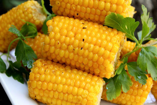 Corn On The Cob (Catering Sizes)