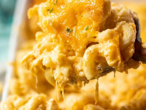 Southern Baked Mac N' Cheese (Catering Sizes)